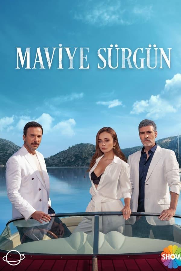 TV Show Poster