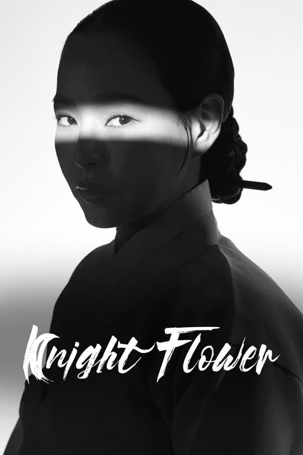 TV Show Poster
