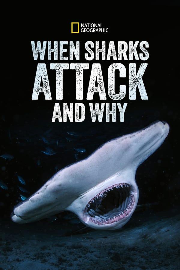 TV Show Poster