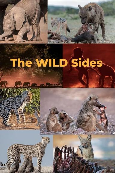 TV Show Poster