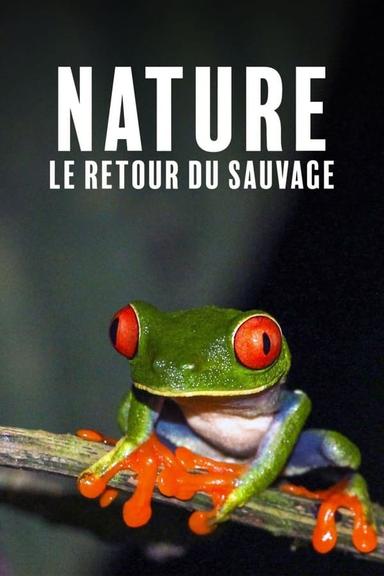TV Show Poster