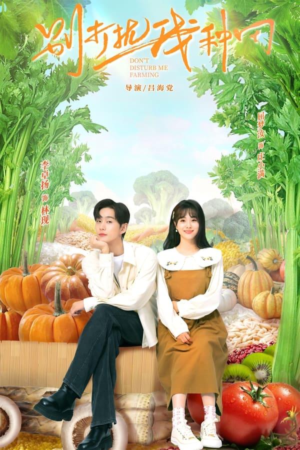 TV Show Poster