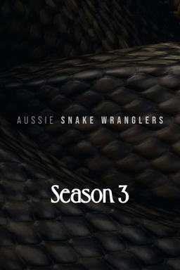 TV Show Poster