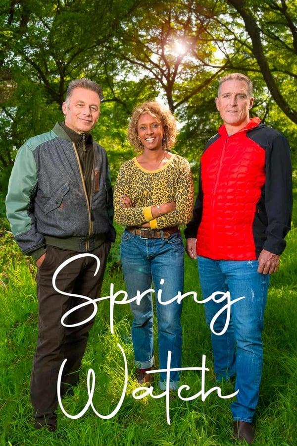 TV Show Poster