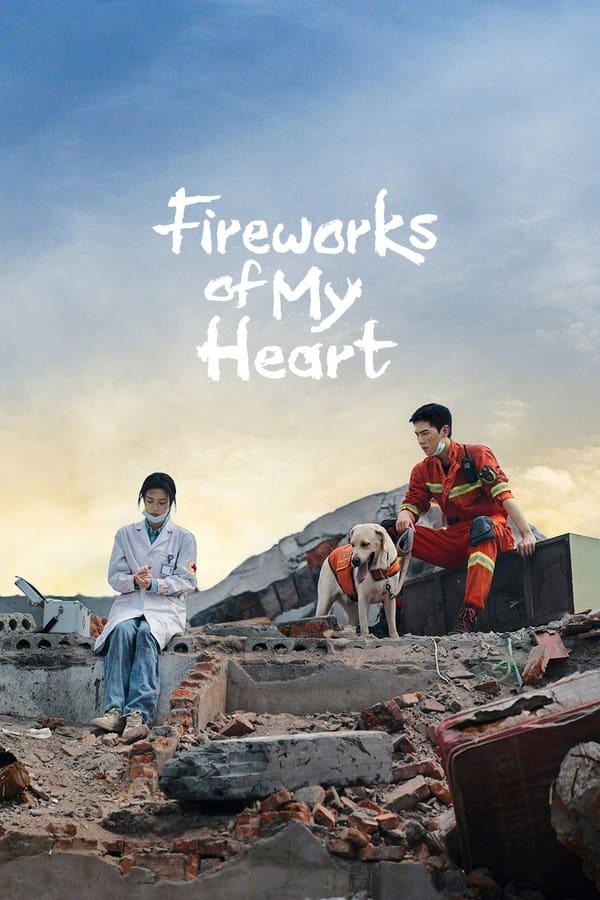 TV Show Poster
