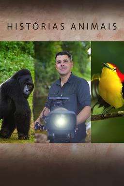 Постер сериала