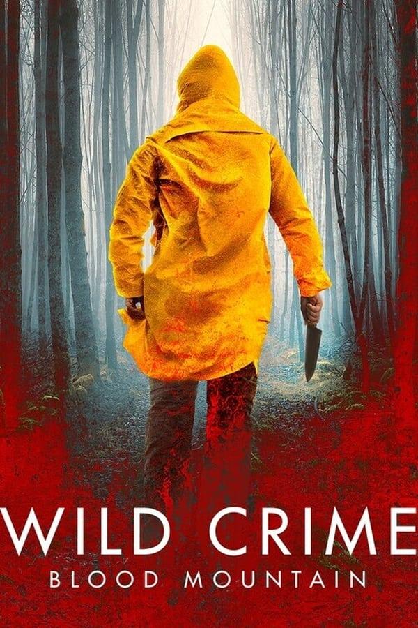 TV Show Poster