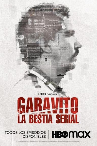 TV Show Poster