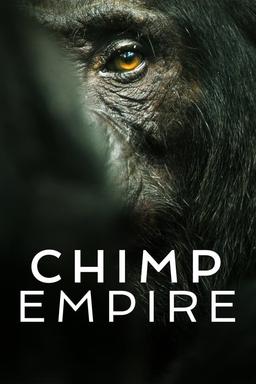 TV Show Poster