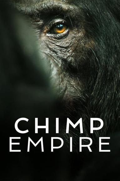 TV Show Poster