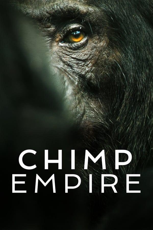TV Show Poster