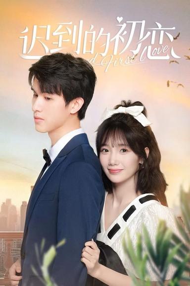 TV Show Poster