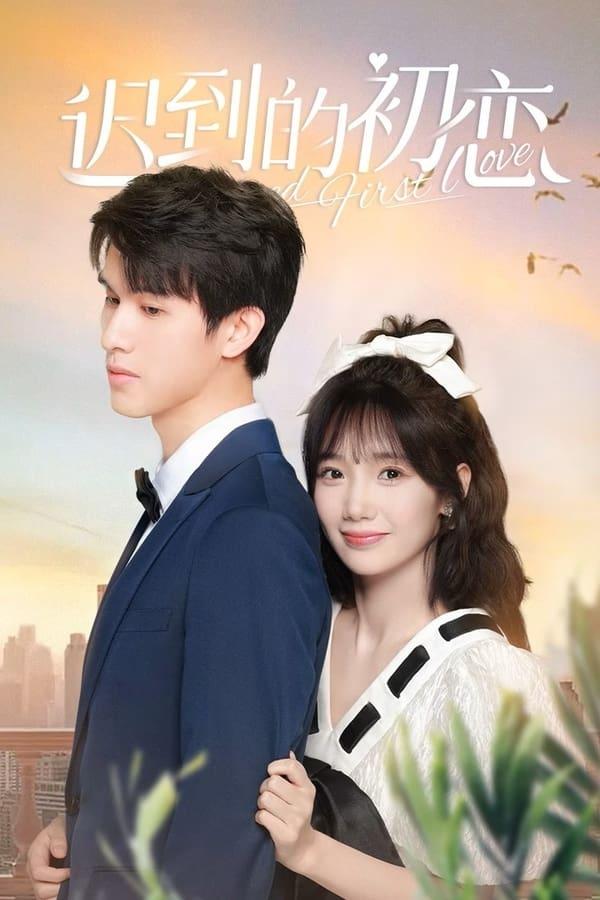 TV Show Poster