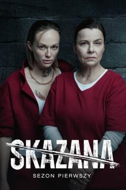 TV Show Poster