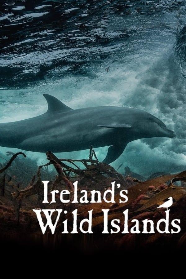 TV Show Poster