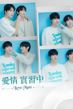 TV Show Poster