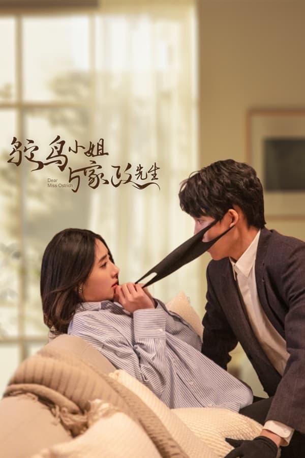 TV Show Poster