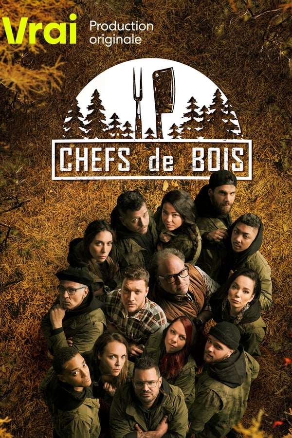 TV Show Poster