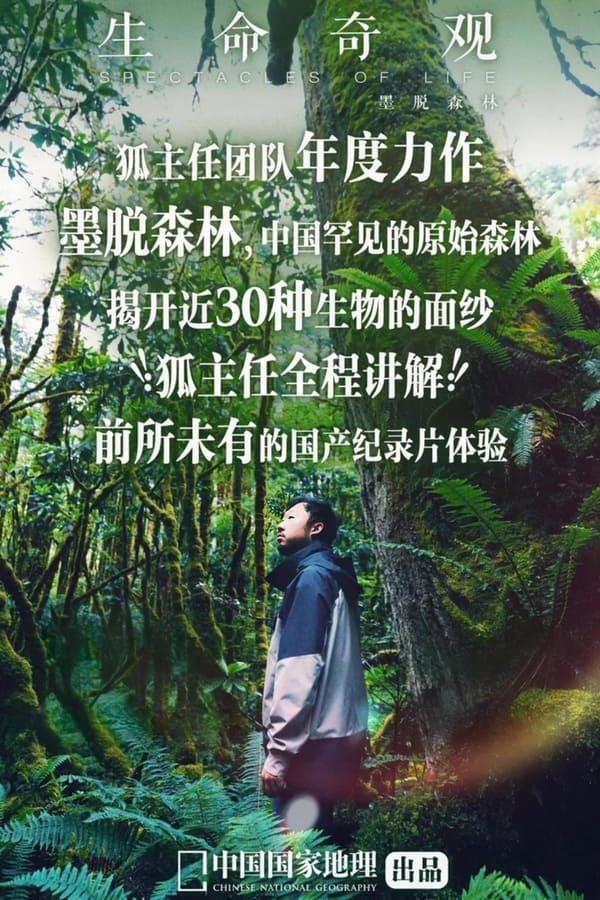 TV Show Poster