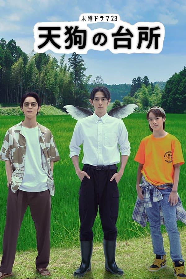 TV Show Poster