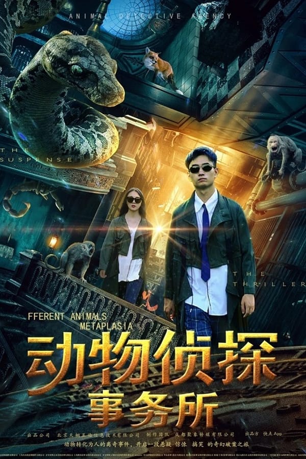 TV Show Poster