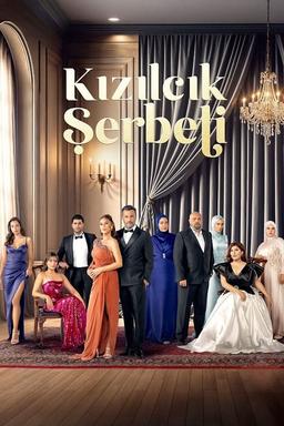 TV Show Poster