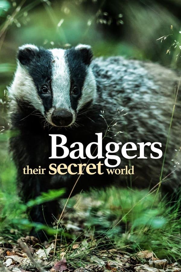 TV Show Poster