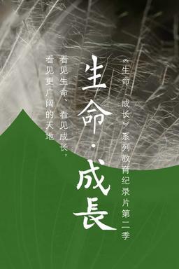 TV Show Poster