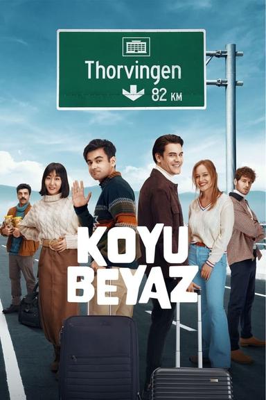 TV Show Poster