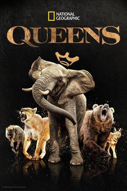 TV Show Poster
