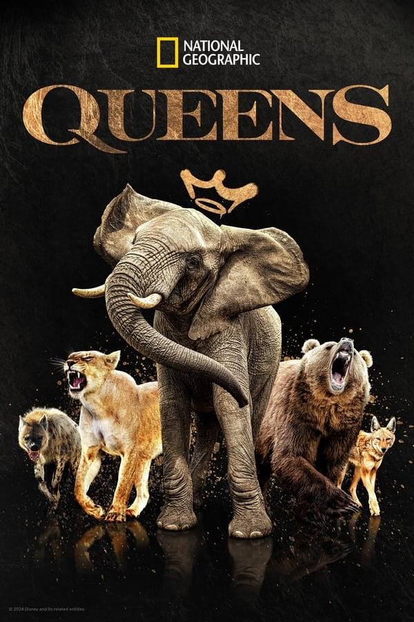 TV Show Poster