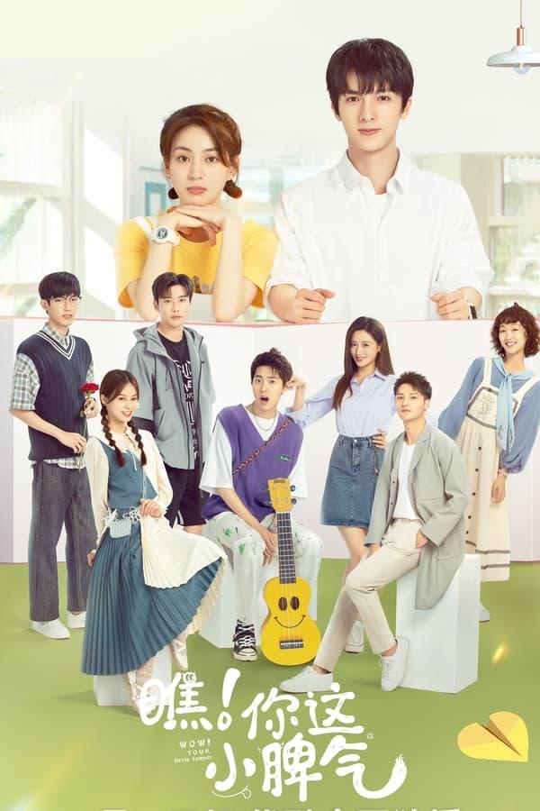 TV Show Poster