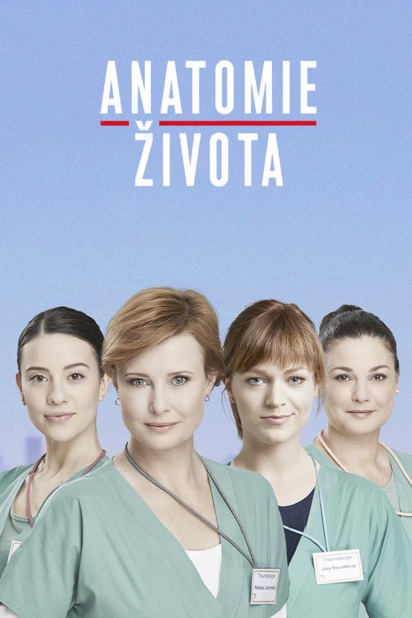 TV Show Poster