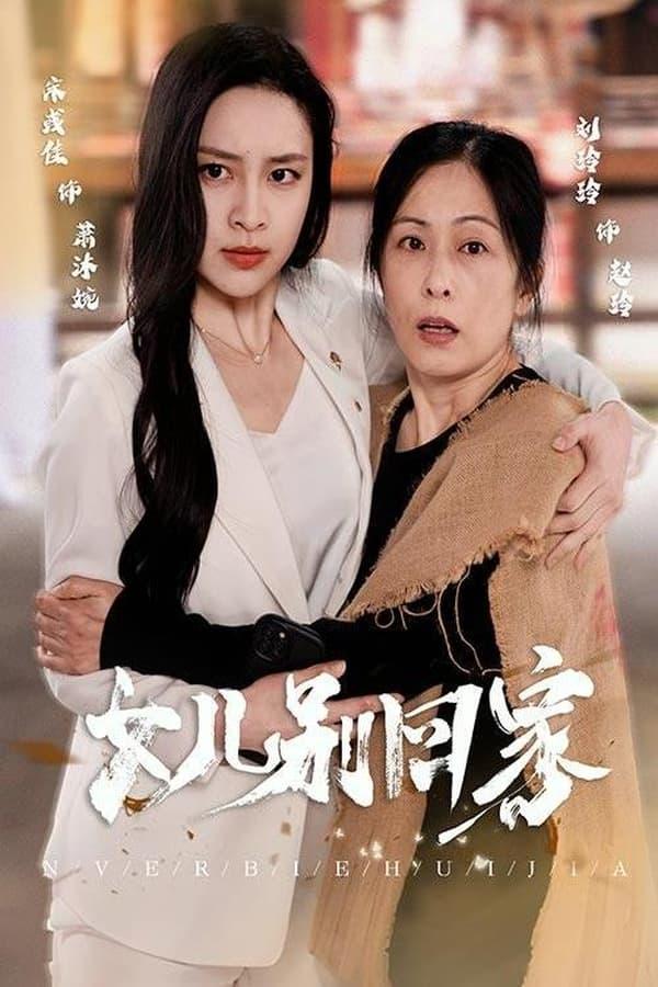 TV Show Poster