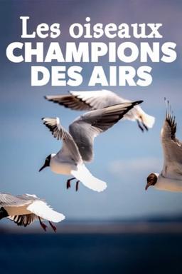 TV Show Poster