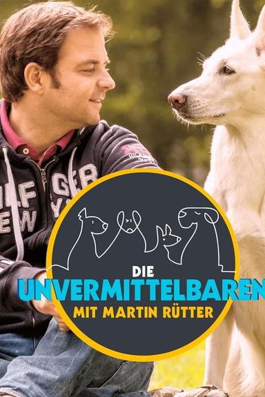 TV Show Poster