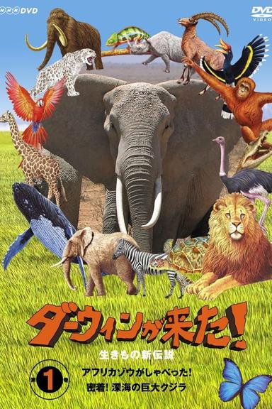 TV Show Poster