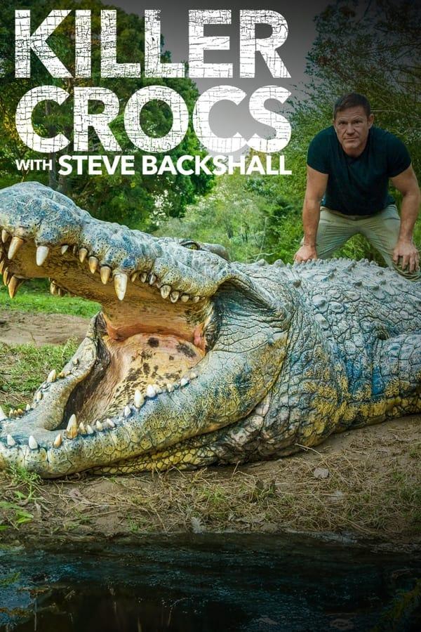 TV Show Poster