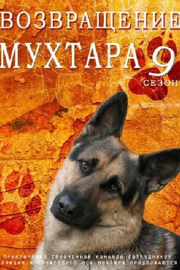 Постер сериала