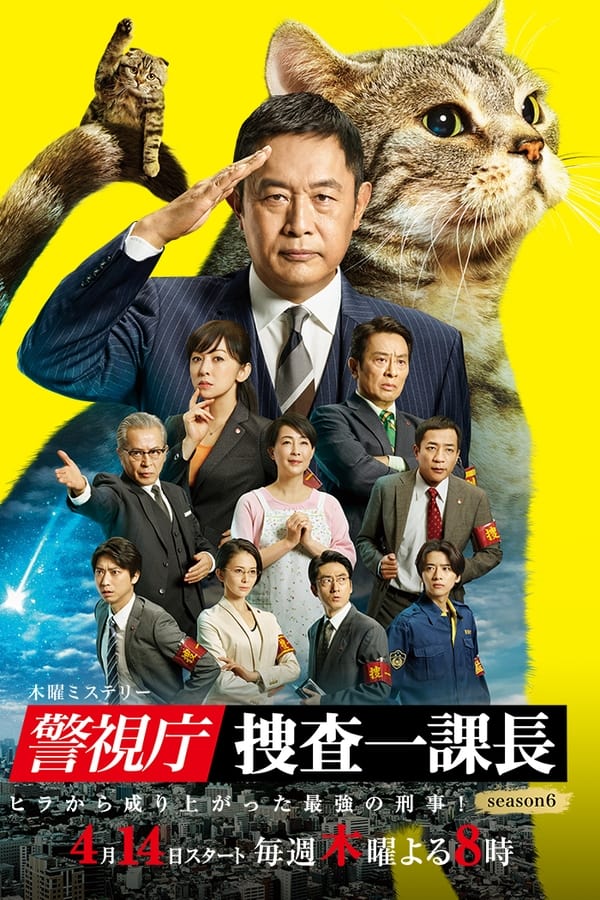 TV Show Poster