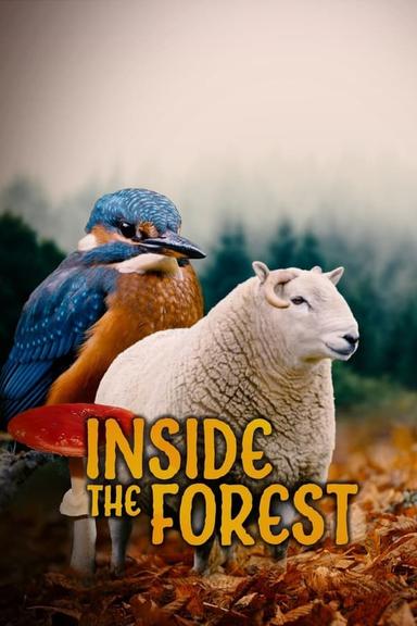 TV Show Poster
