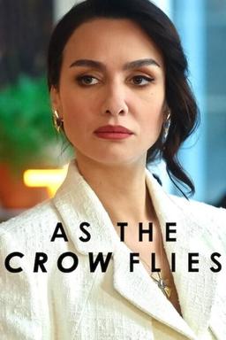 TV Show Poster