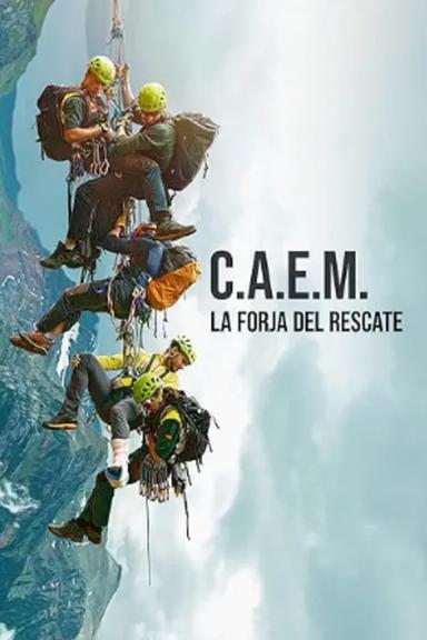TV Show Poster