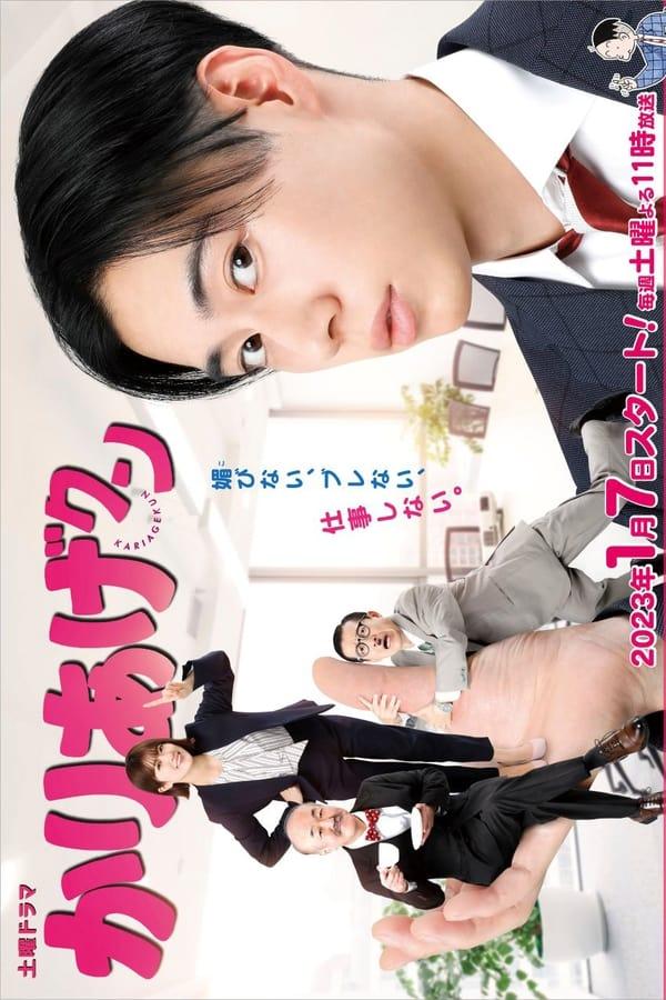 TV Show Poster
