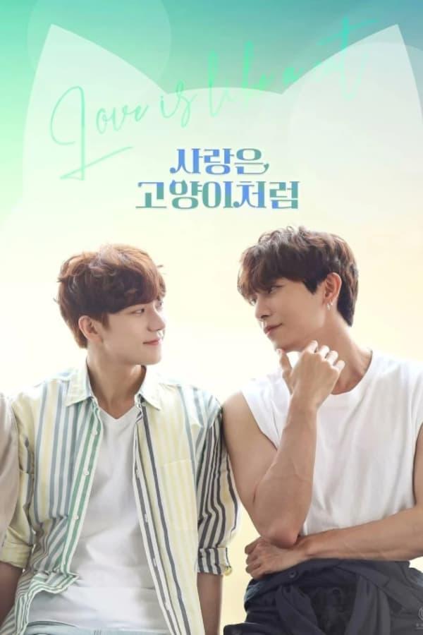 TV Show Poster
