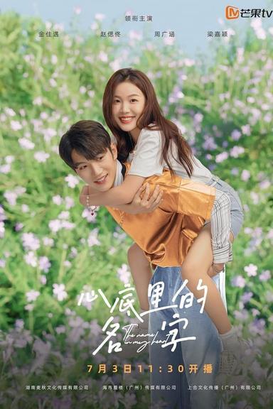 TV Show Poster