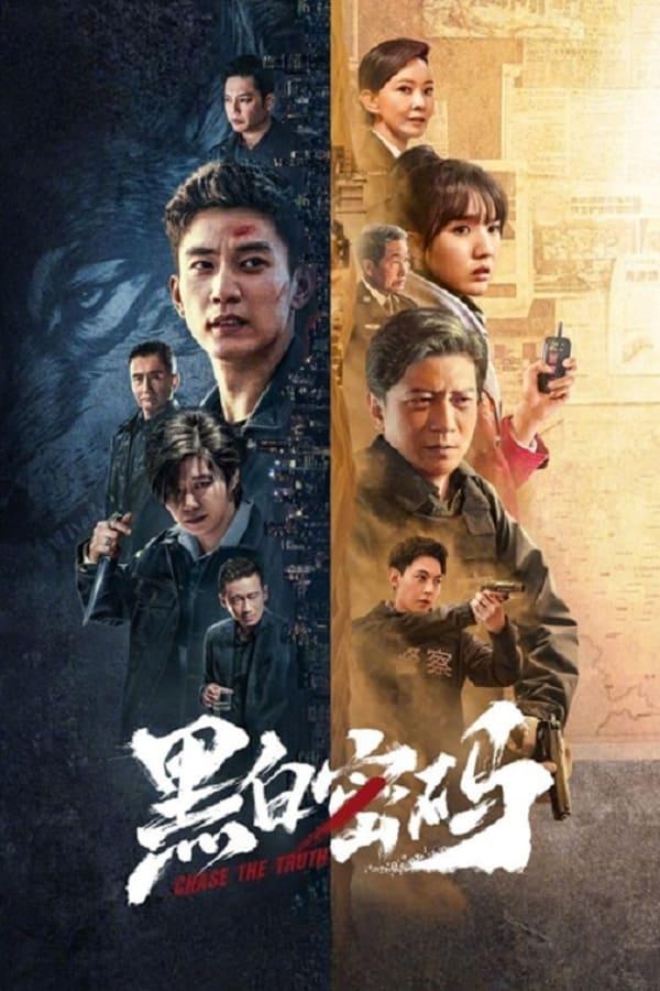 TV Show Poster
