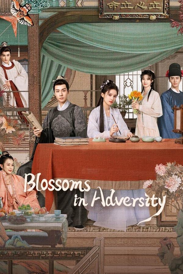 TV Show Poster