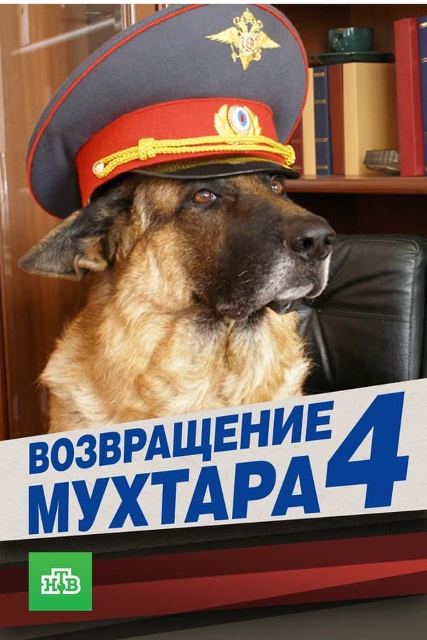 Постер сериала