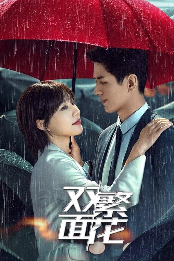 TV Show Poster